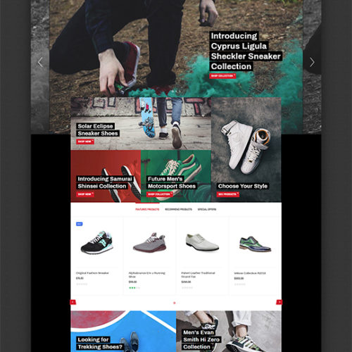 ecommerce-website-for-shoes-store-digitalsnazz